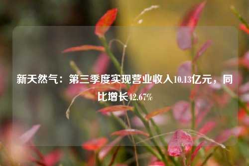 新天然气：第三季度实现营业收入10.13亿元，同比增长42.67%