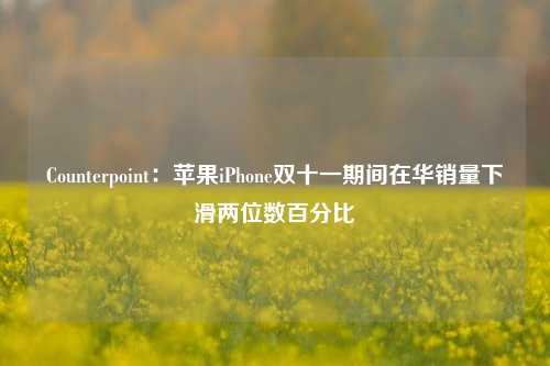 Counterpoint：苹果iPhone双十一期间在华销量下滑两位数百分比