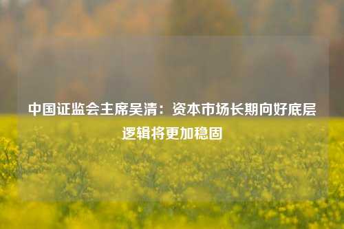 中国证监会主席吴清：资本市场长期向好底层逻辑将更加稳固