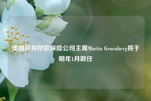 美国联邦存款保险公司主席Martin Gruenberg将于明年1月卸任